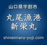 �R�����F���s�۔����`�E�V�h�ۃ��S